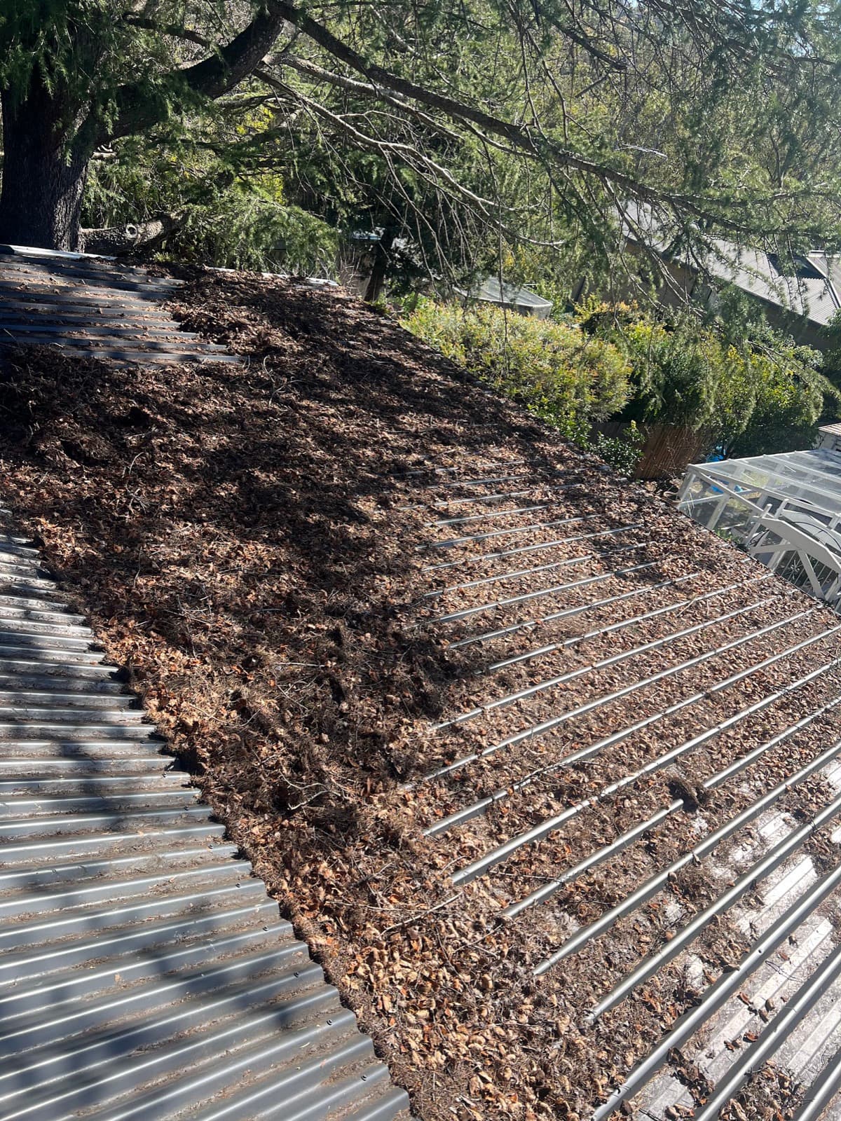 Roof valley and gutter buried under a thick layer of leaf litter before cleaning