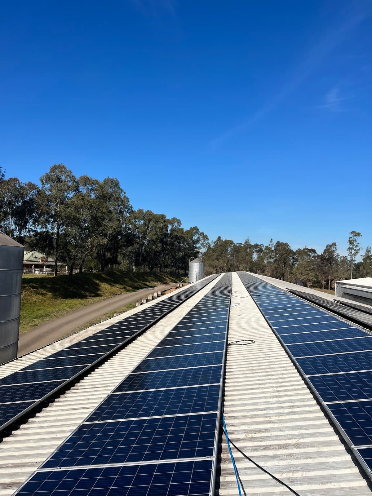 Long row of freshly cleaned solar panels on a metal roof under a clear sky